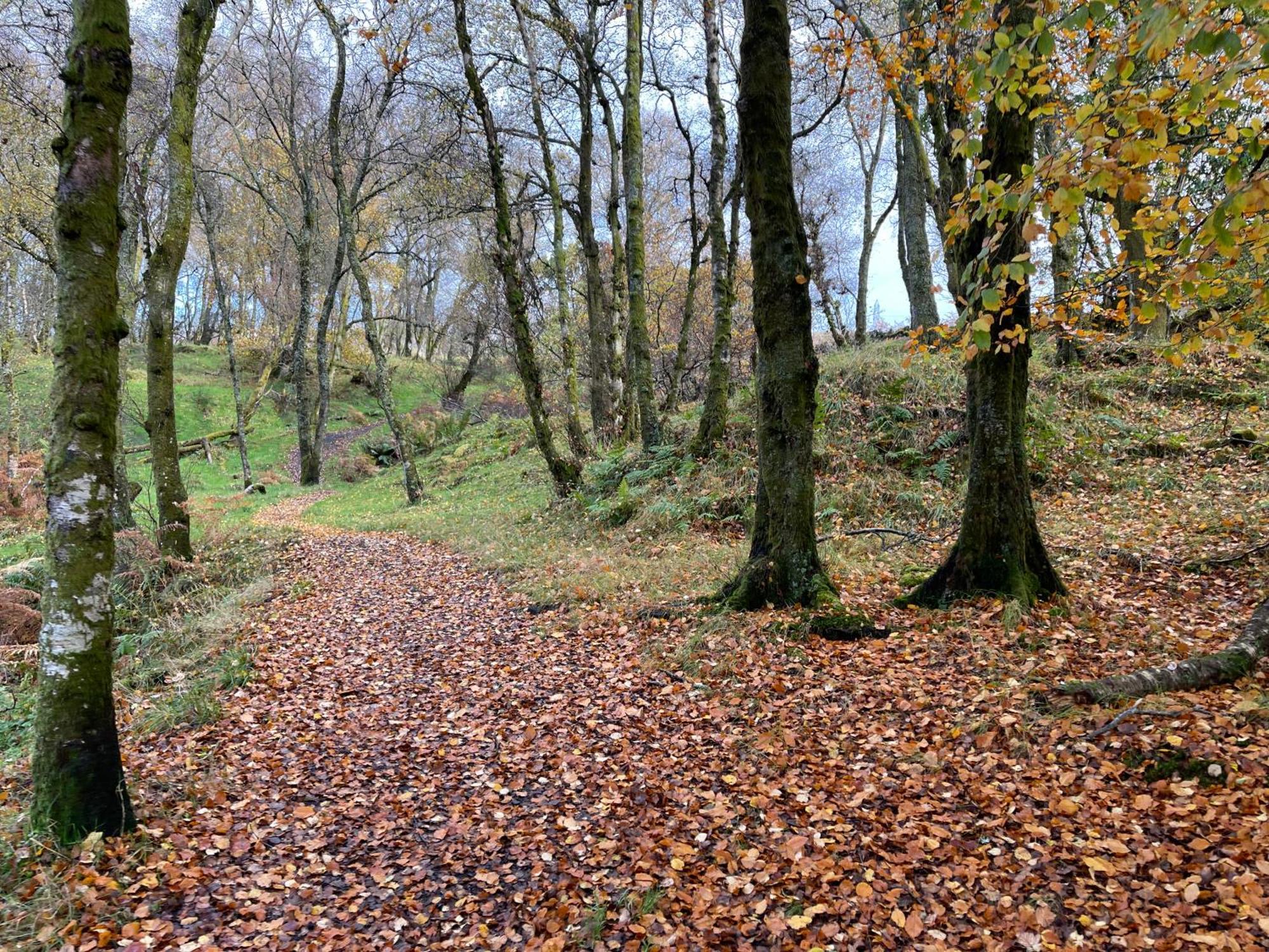 The John Muir - Beautiful 1 Bed Apartment In Helensburgh Exteriér fotografie